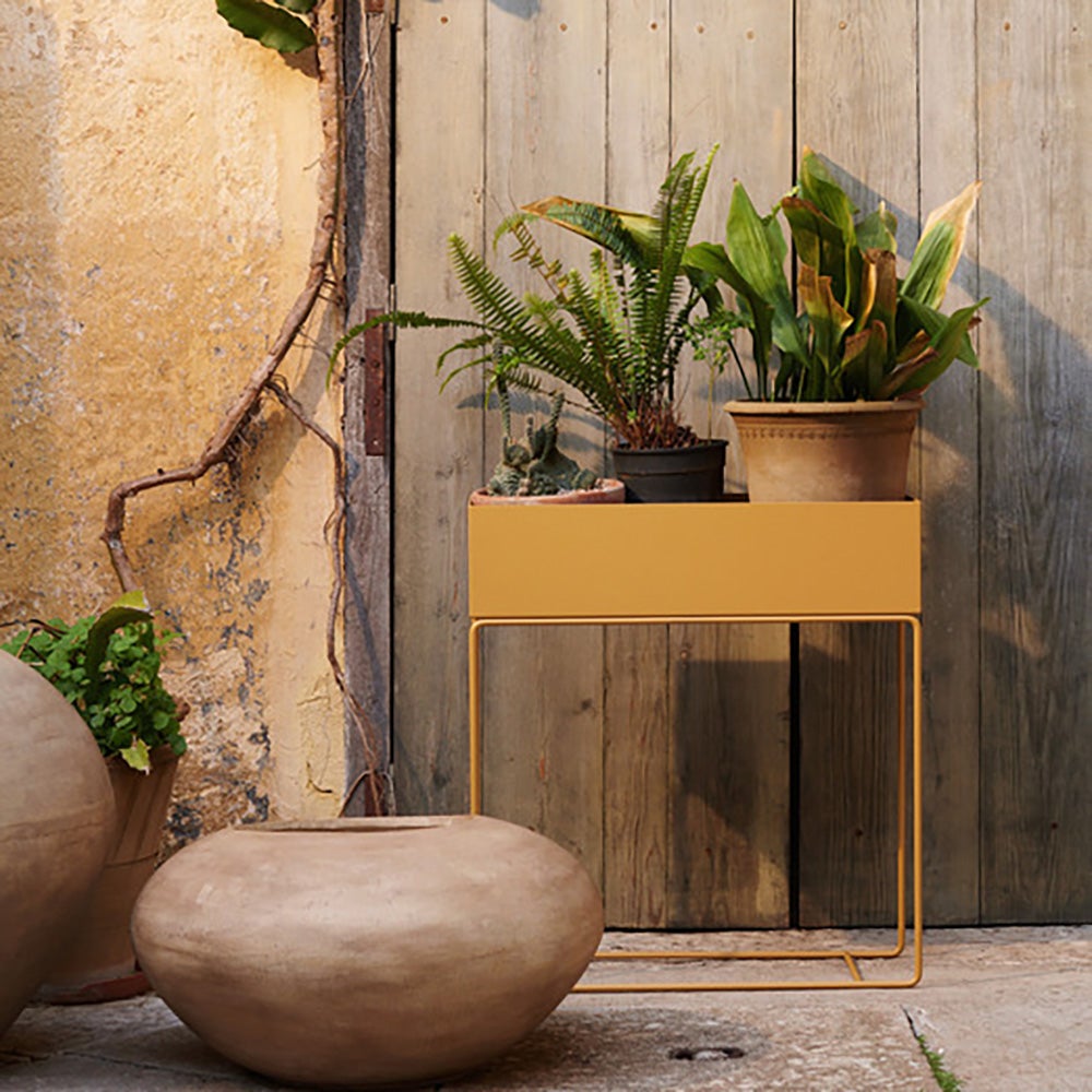  Kukkalaatikko - Sinapinkeltainen