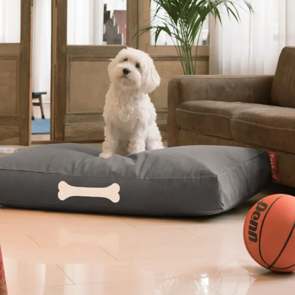 doggielounge L canvas Koiran sänky recycled charcoal grey