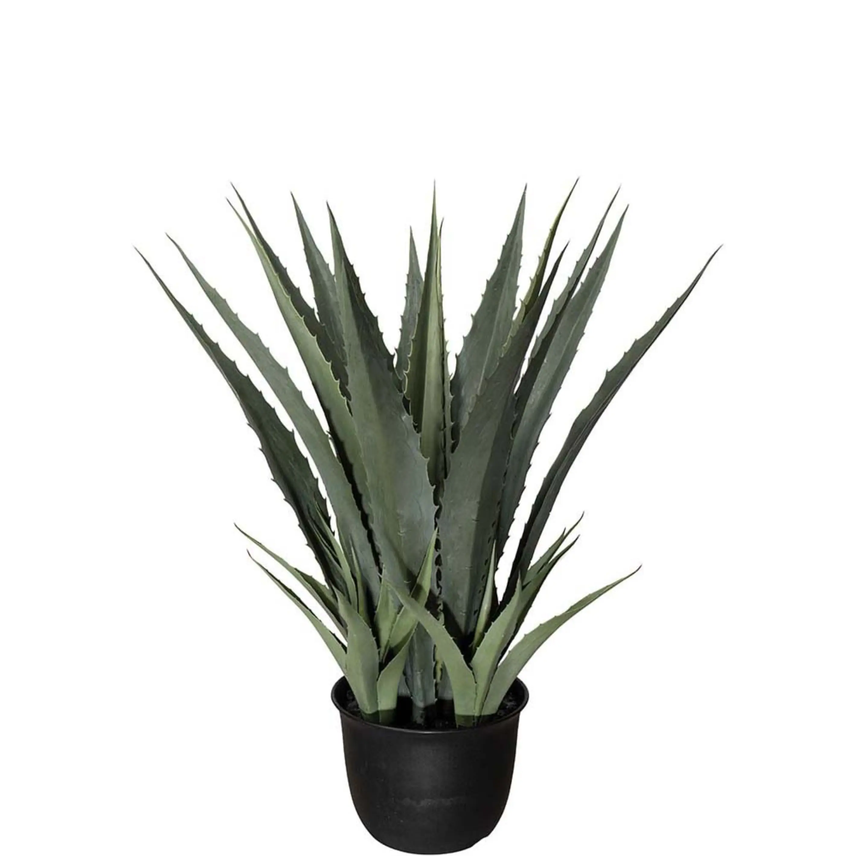  Agave Green 100 cm