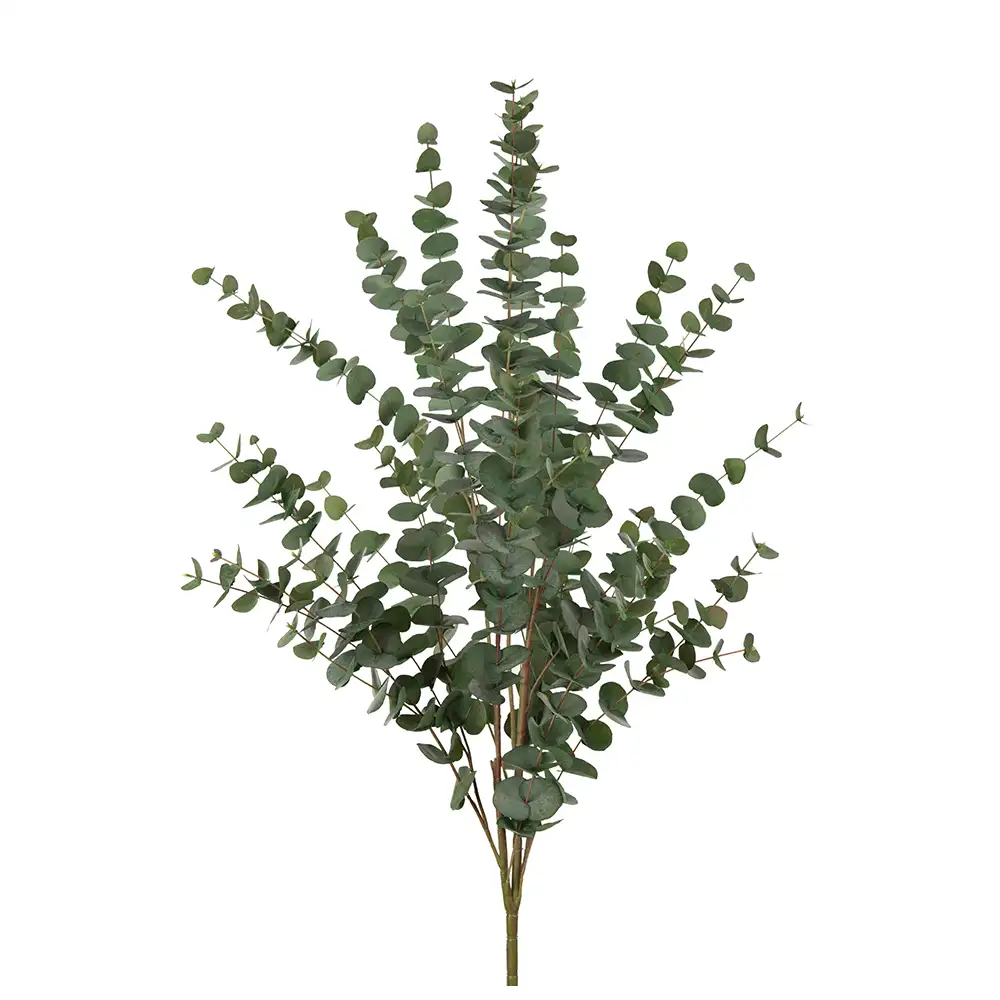 Eukalyptus Oksa 120 cm