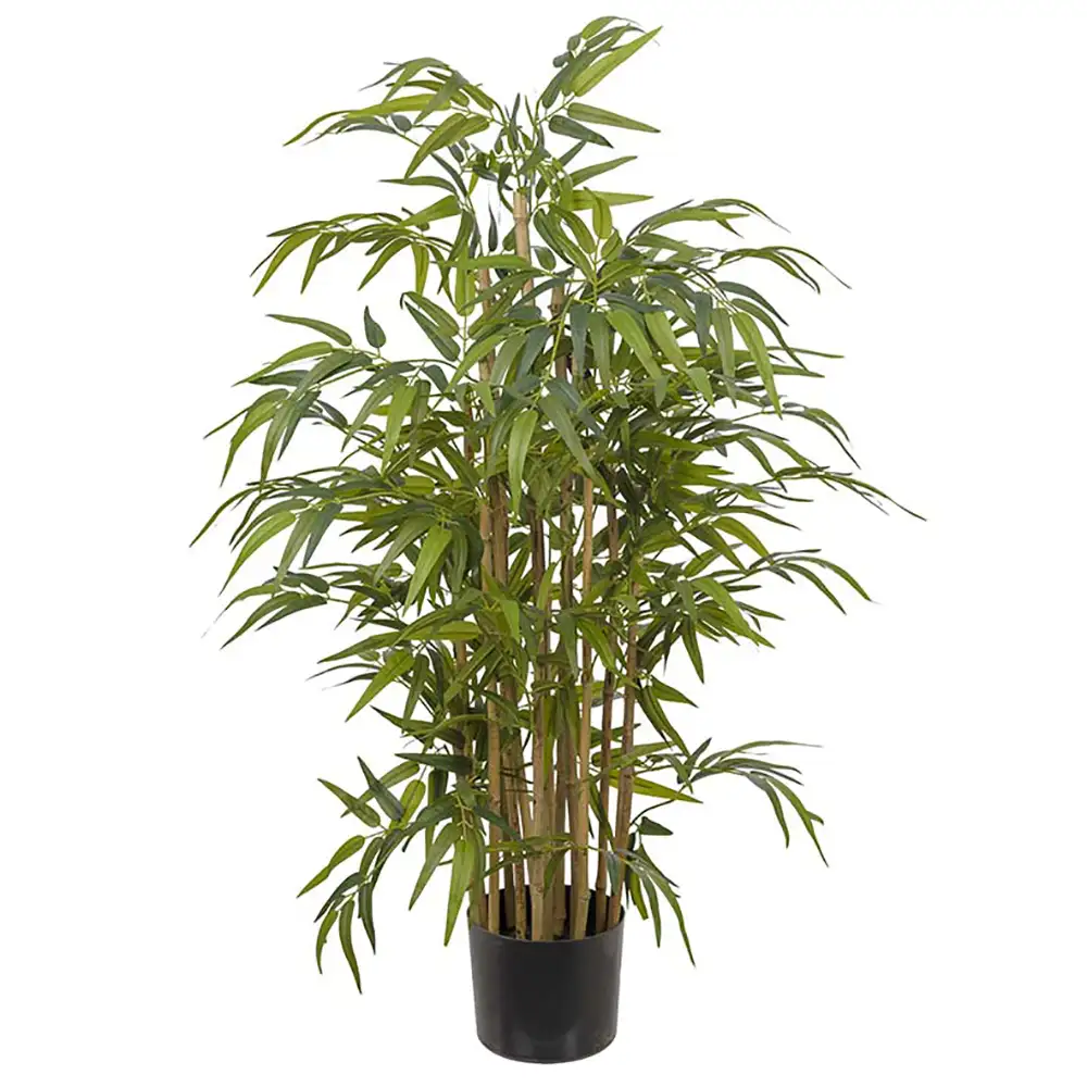 Mr Plant Bambu 120 cm