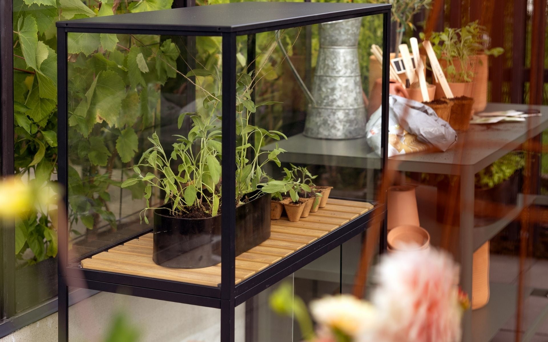 GROWER GREENS kollektion.jpg