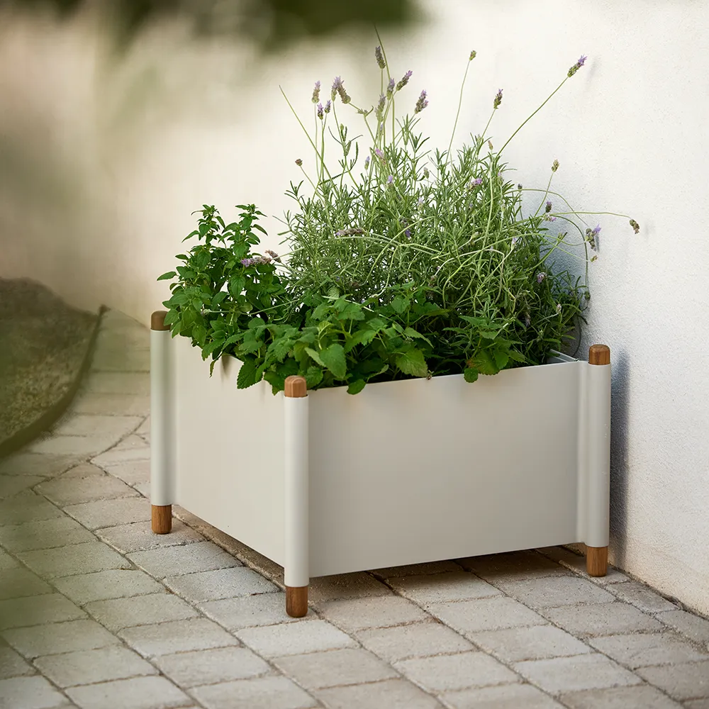 Sticks Kasviastia Sand