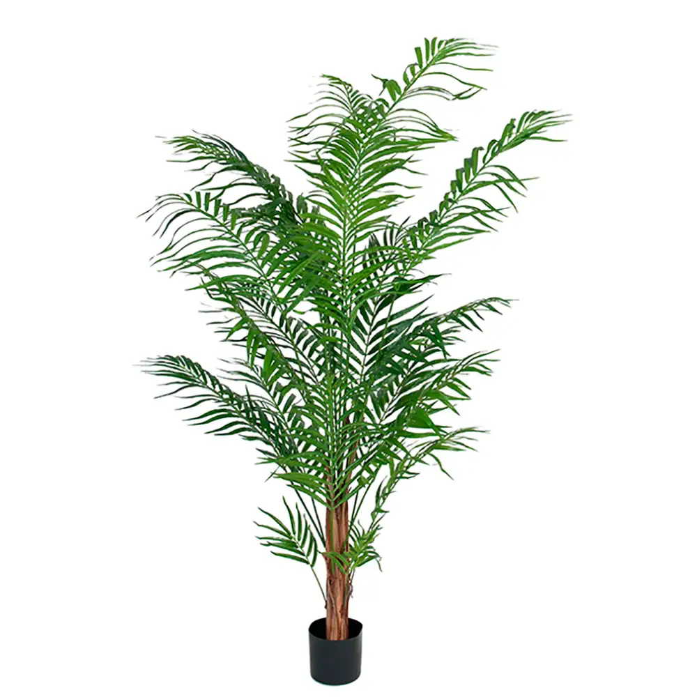 Mr Plant Arecapalmu 120 cm