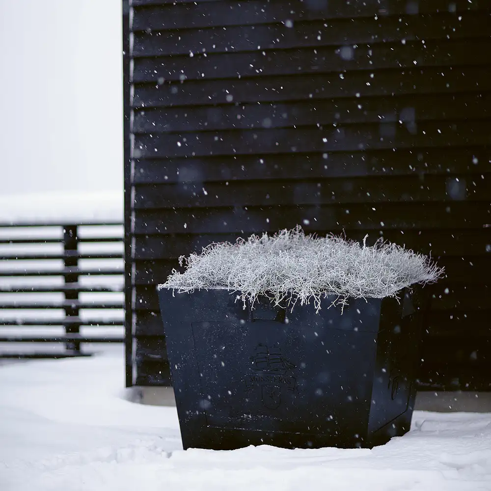 Karl XL växtkärl musta