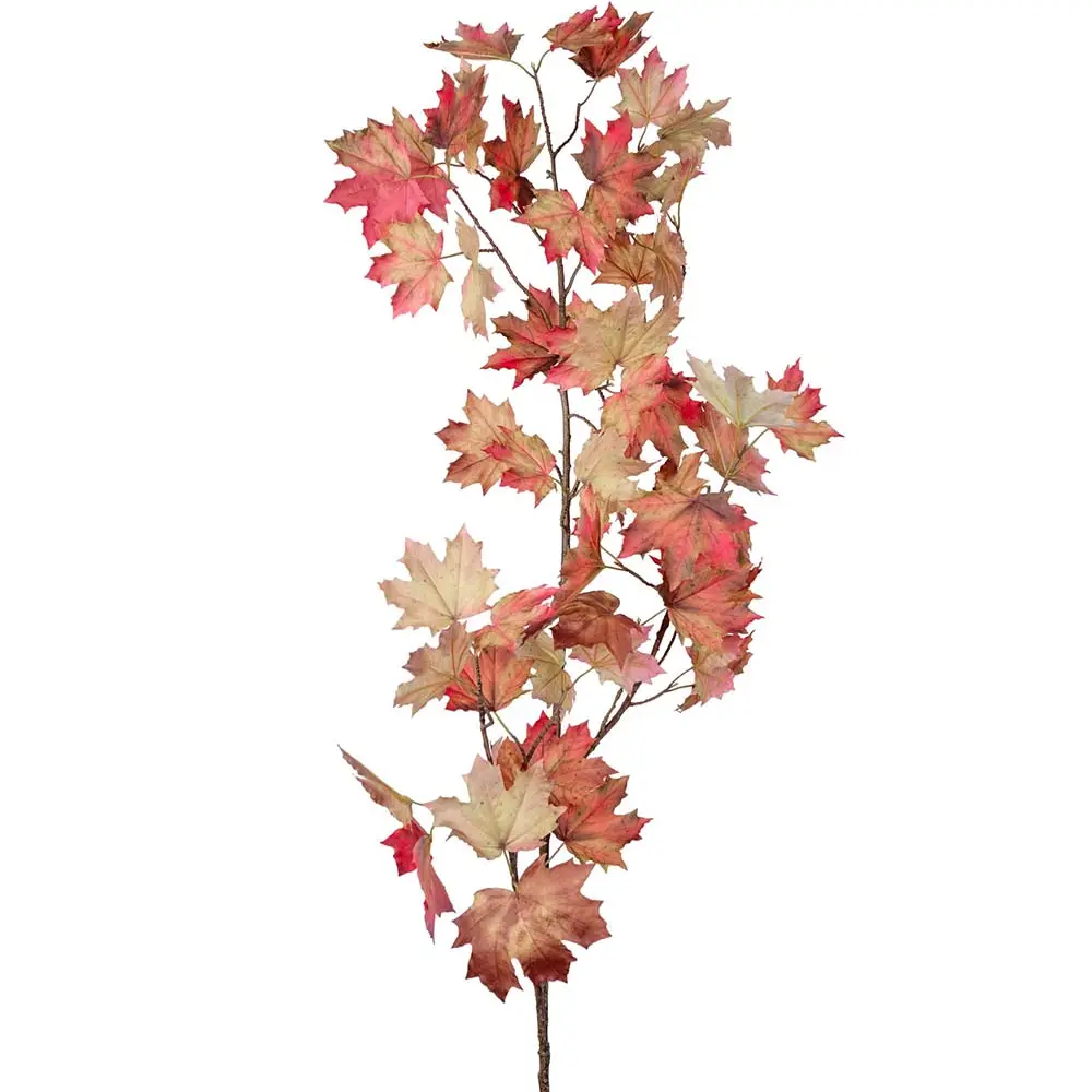  Vaahteran oksa 230 cm