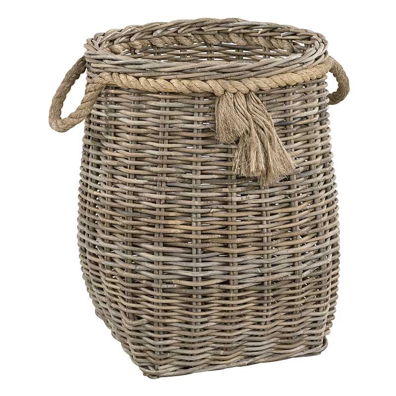 Palma kori L Artwood