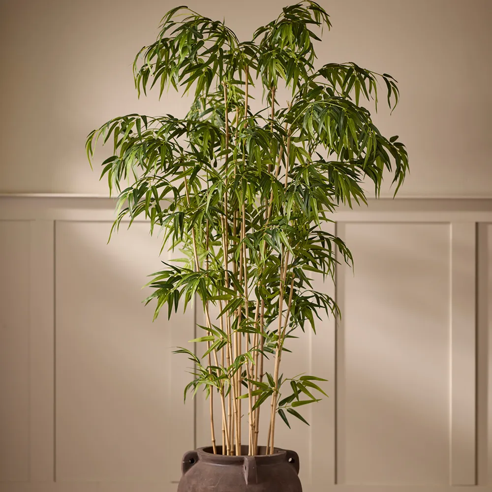 Bambu 120 cm