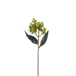 Hypericum-marjan oksa 28 cm vihreä