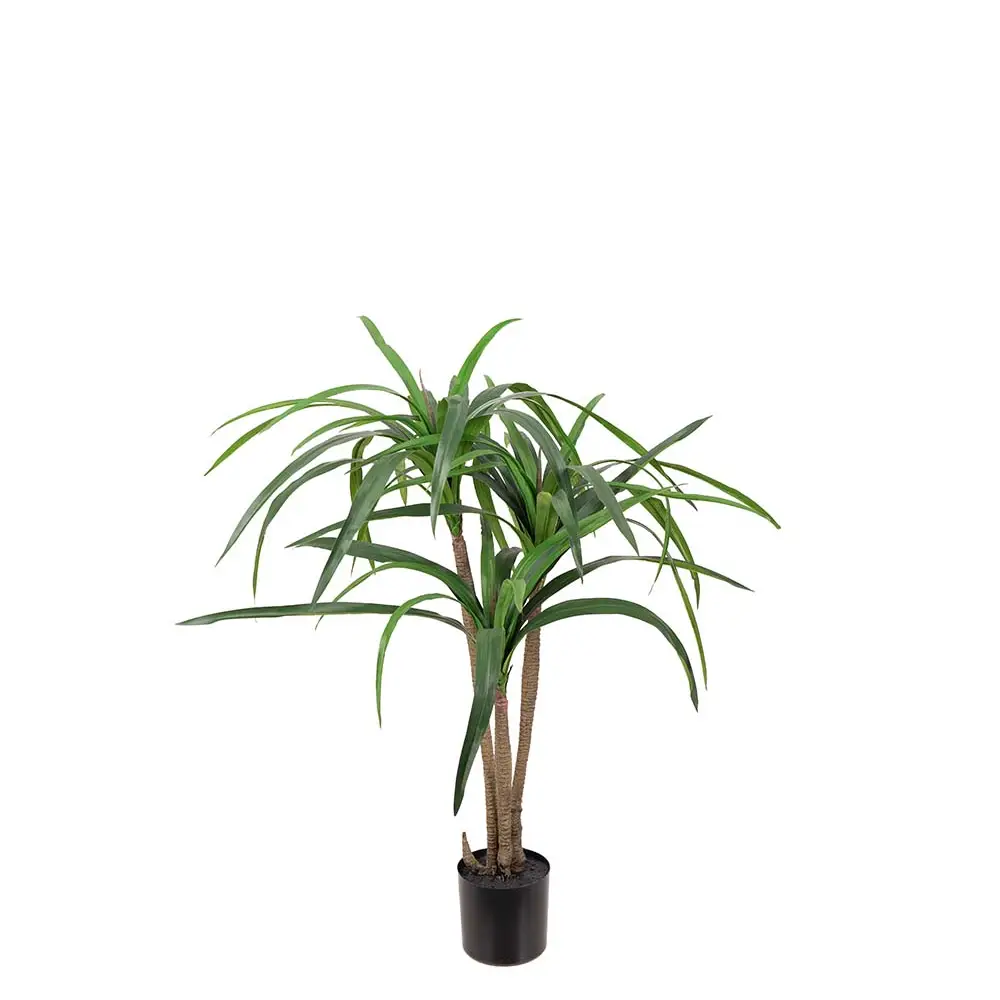  Dracena Palm 90 cm