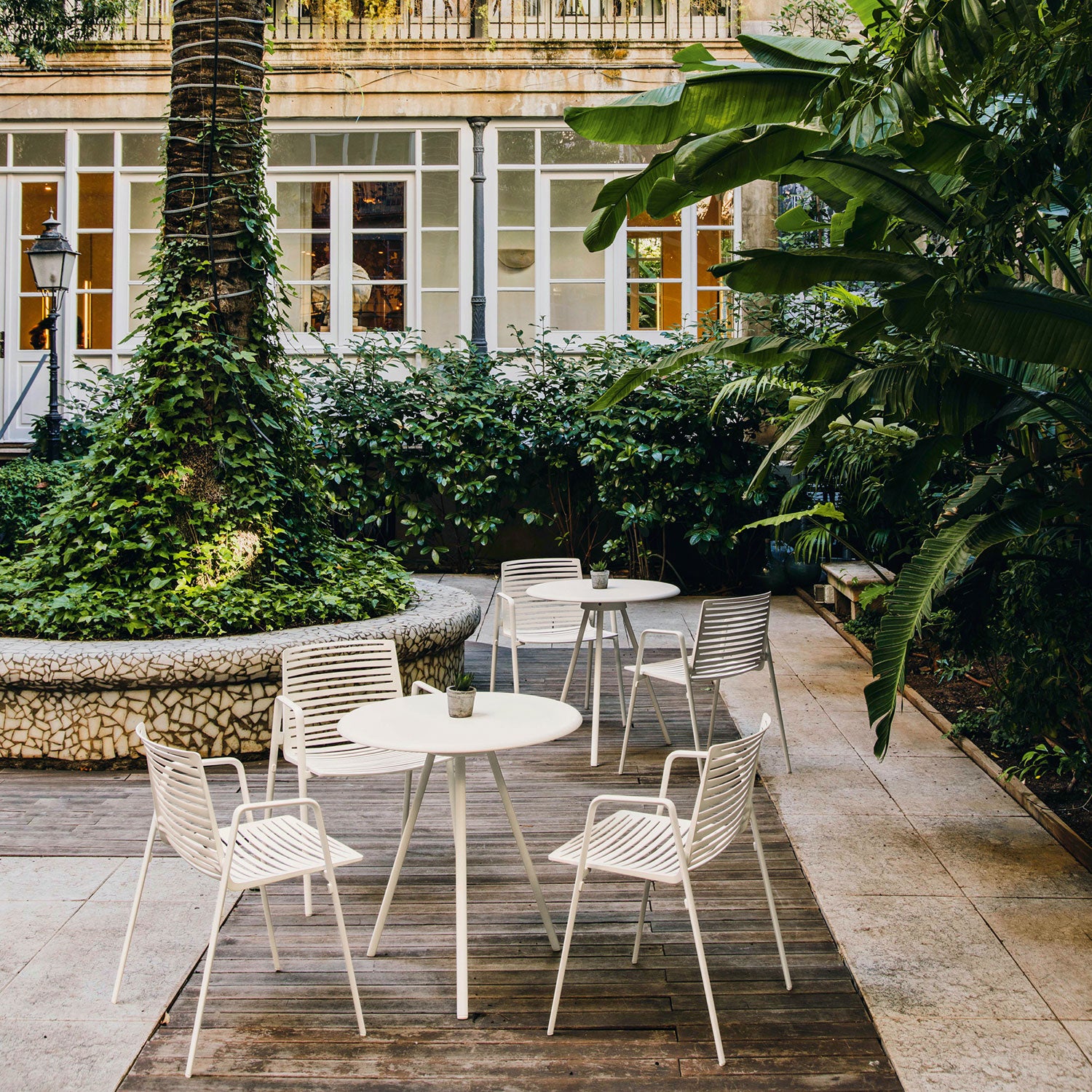 Zebra käsinojallinen tuoli Pearly Gold