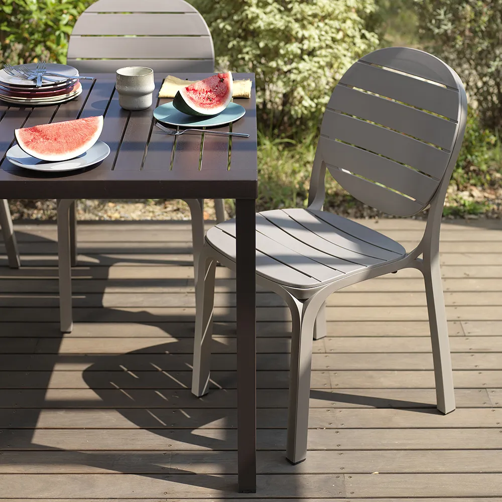 Erica tuoli White - Tortora