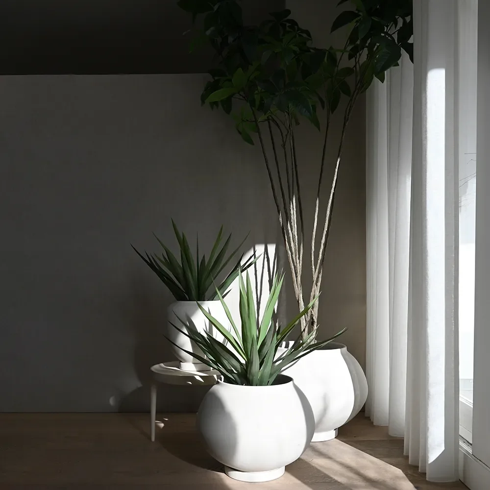 Sunao ruukku Fat Big - Birch