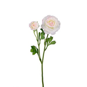 Ranuncel Leikkokukka 45 cm Monivärinen