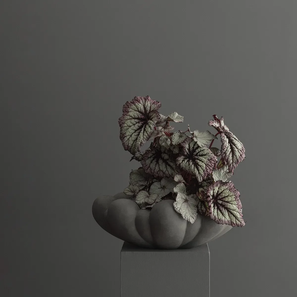 Käsintehty koristekulho Bloom Dark Grey Ø 44 cm