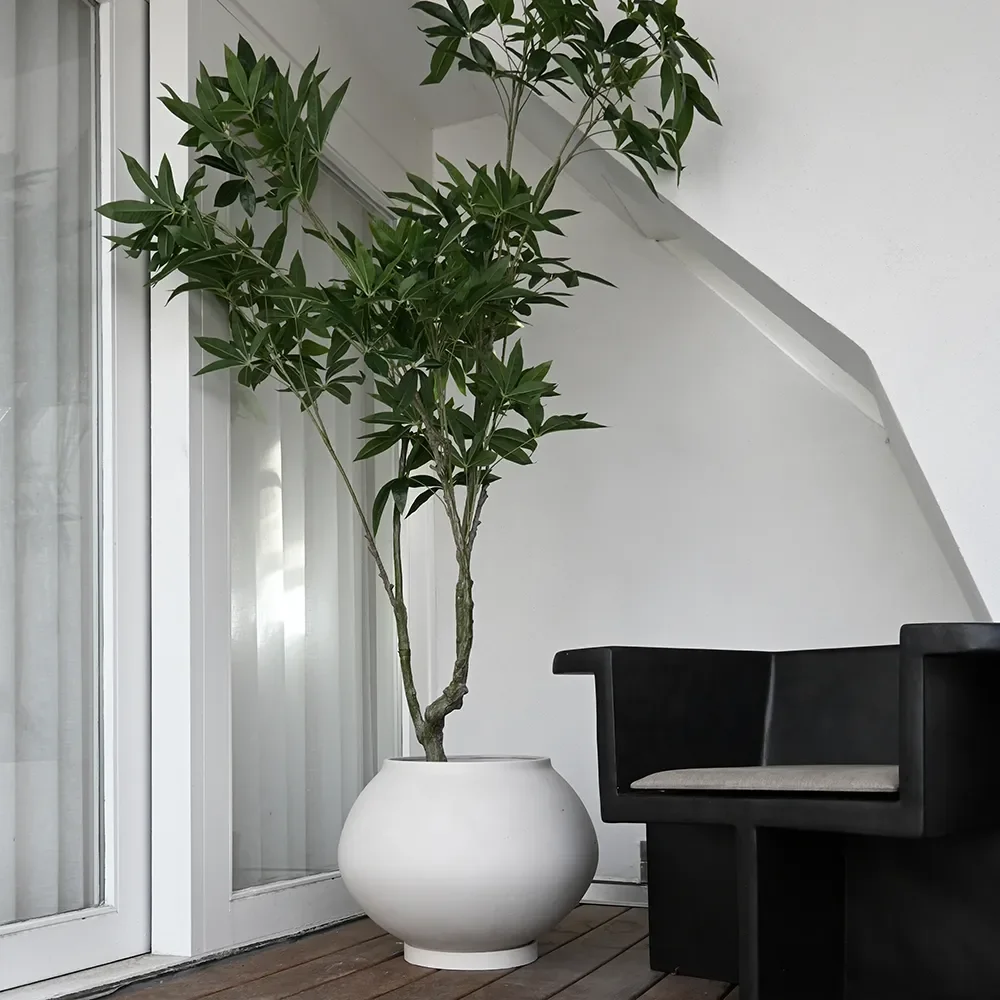 Sunao ruukku Fat Hexa - Birch