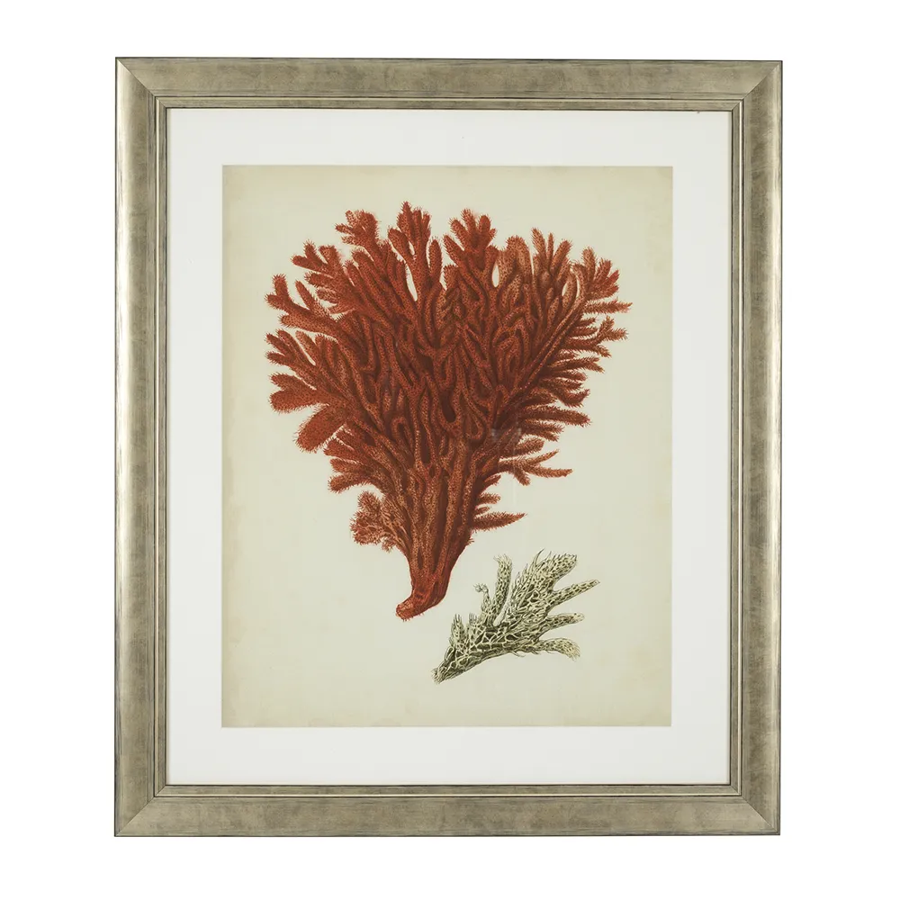Print Antique Red Corals set of 6