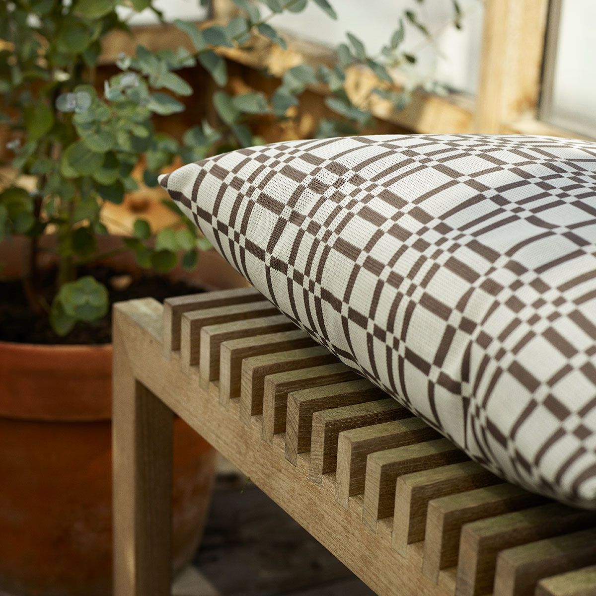 Cutter jakkara tammi