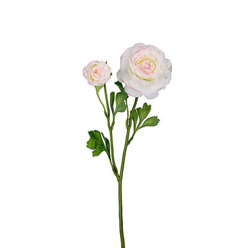 Ranuncel Leikkokukka 45 cm Monivärinen