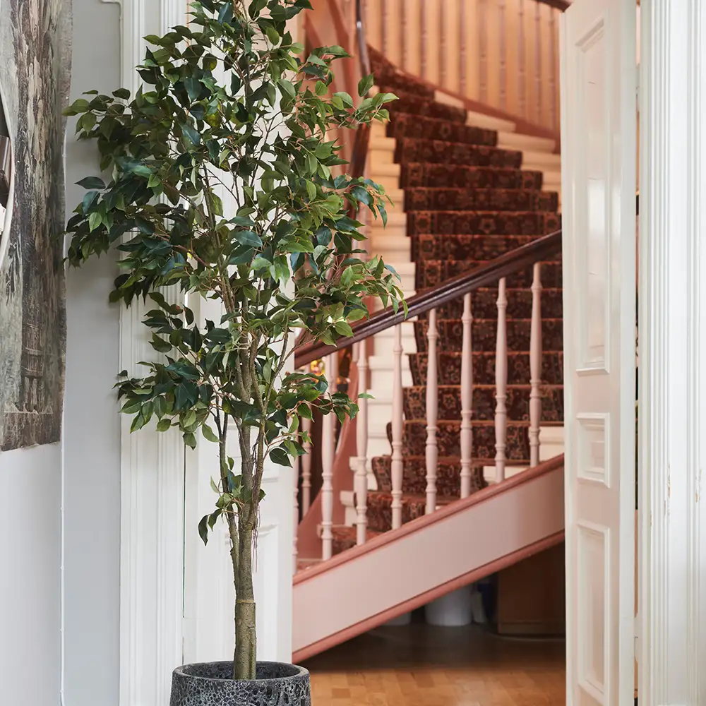 Benjamin Viikuna 165 cm