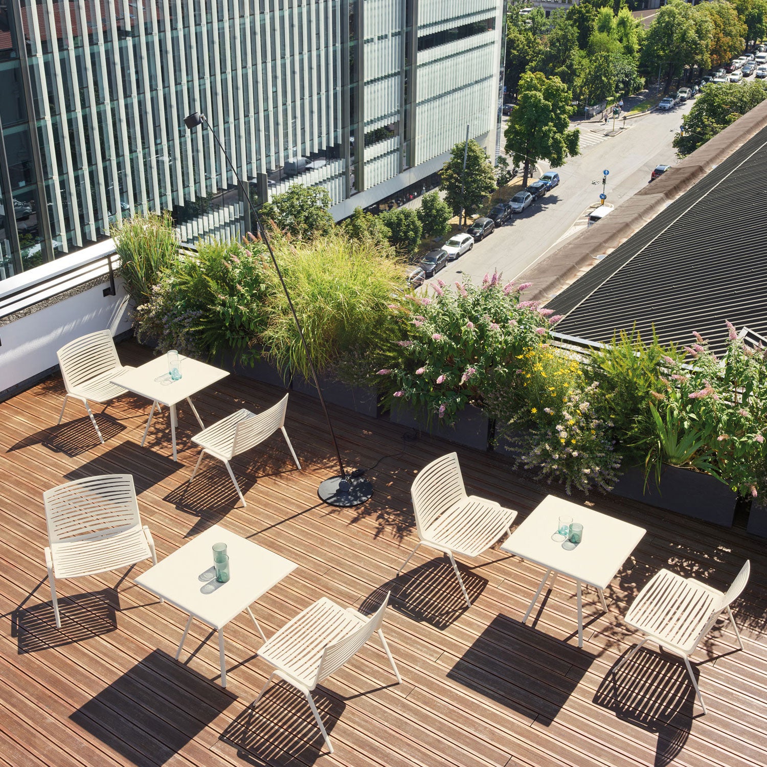 Zebra nojatuoli Pearly Gold