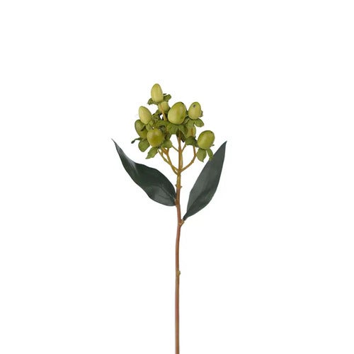 Hypericum-marjan oksa 28 cm vihreä