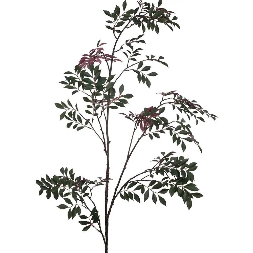  Japanilainen pihlajan oksa 230 cm