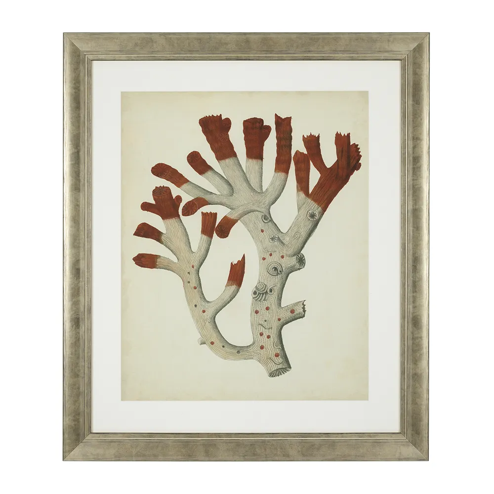 Print Antique Red Corals set of 6