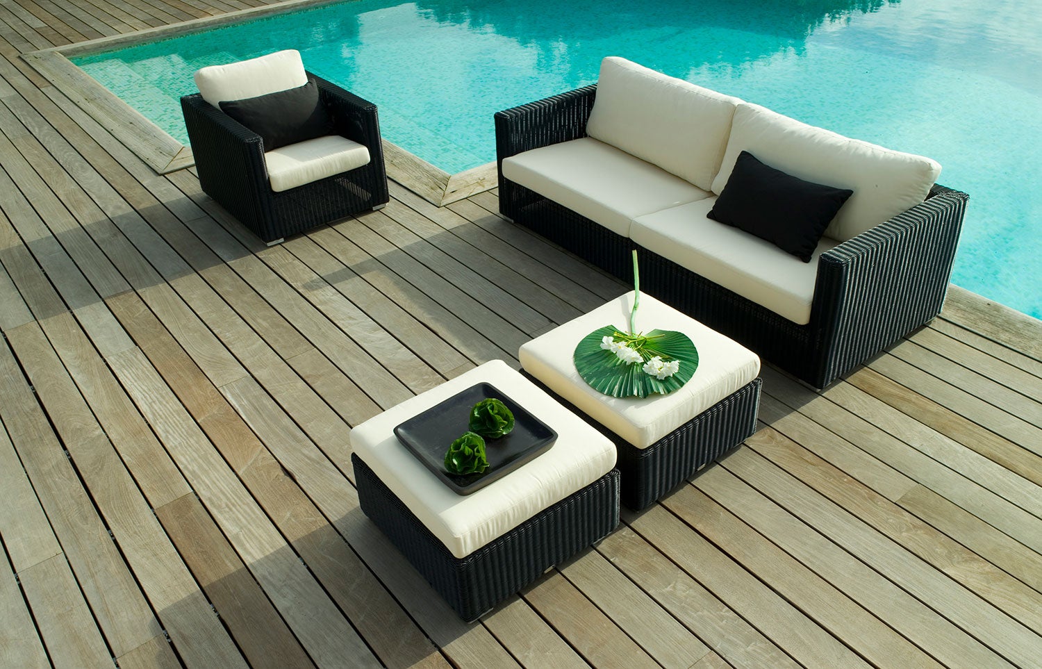 Chester Jalkarahi Polyrottinki Grafiitti 