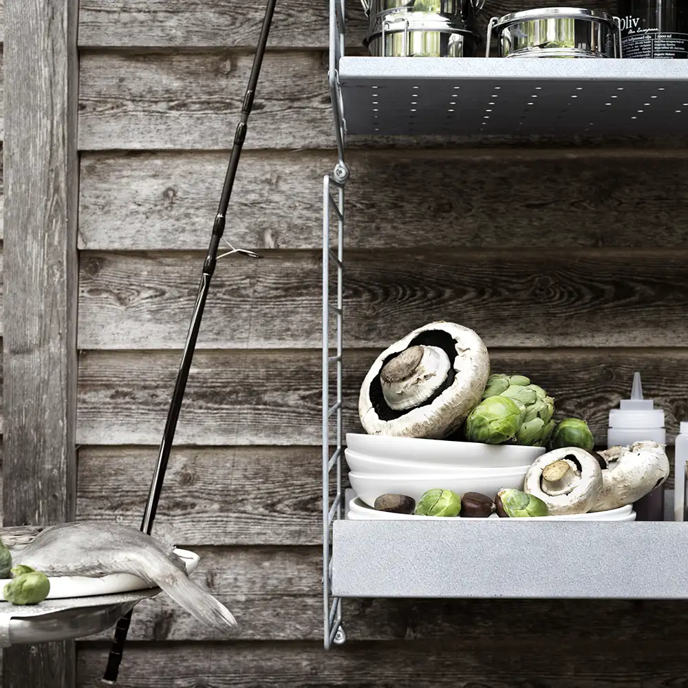 Seinäpaneeli 50x30 cm Sinkitty