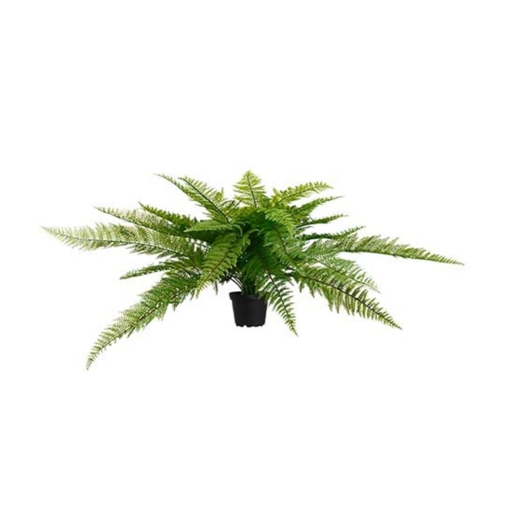 Saniainen Vihreä 35 cm