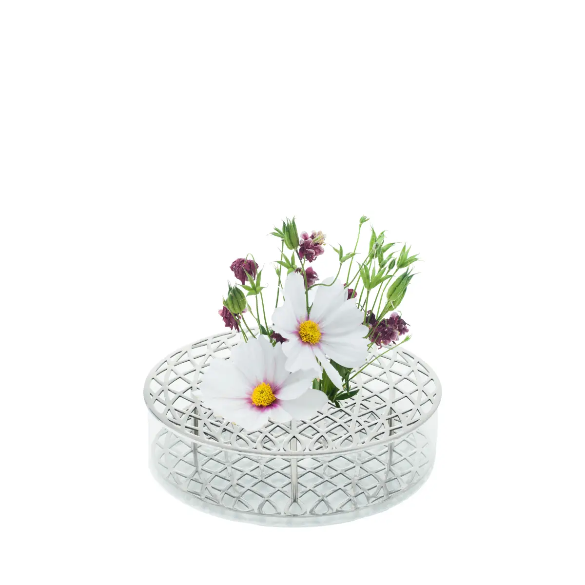 Äng Optimum Steel Ø21,9xH6,2 cm Messinki, Lasi Klong