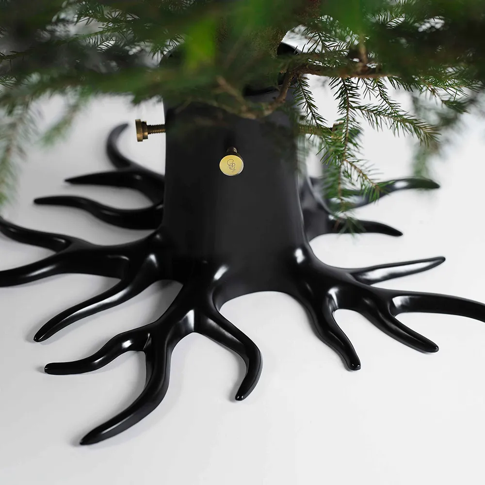 Joulukuusenjalka Black