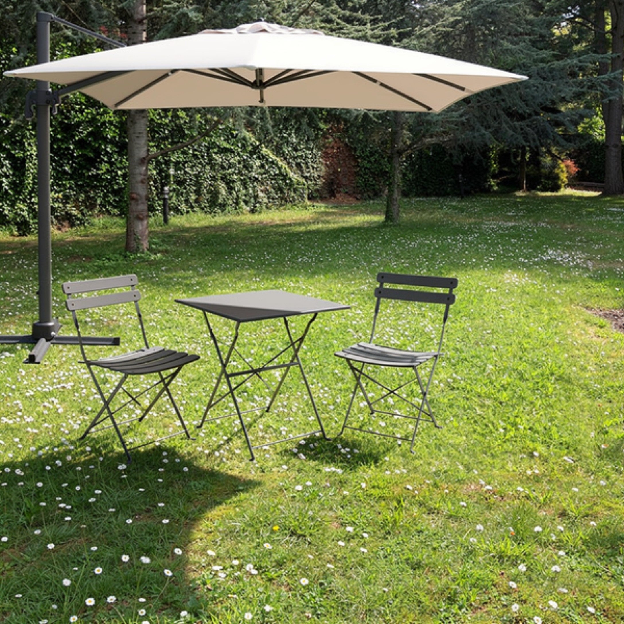 Ponte ryhmä musta Brafab