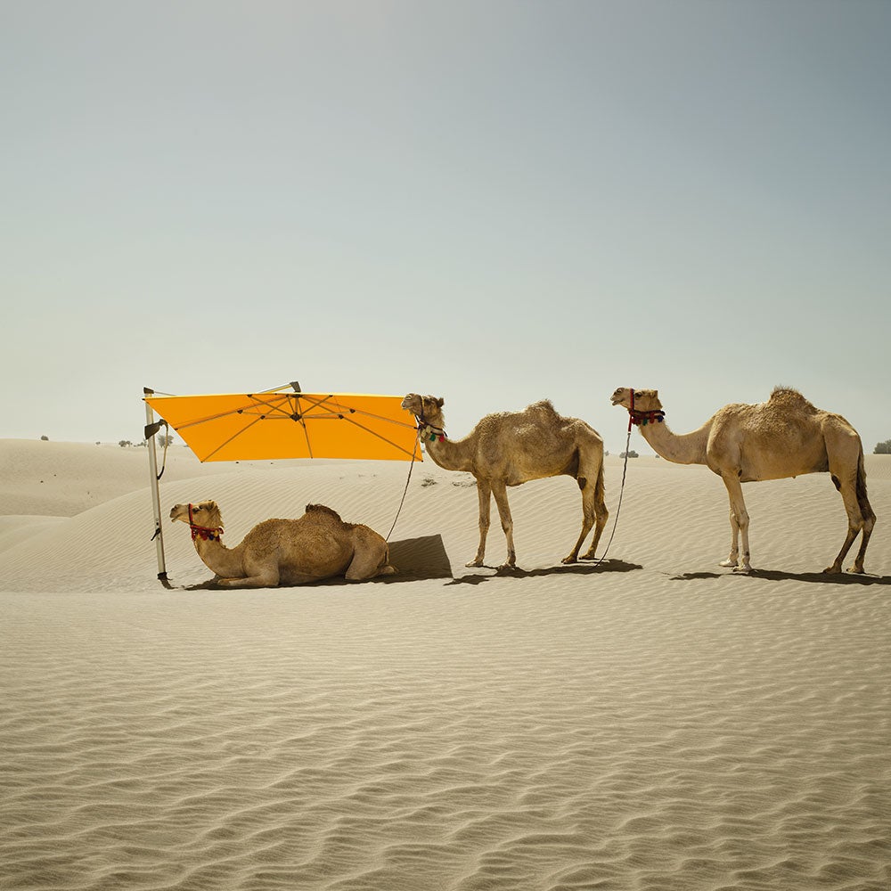 Sombrano S+ vapaasti riippuva aurinkovarjo 400 cm anodisoitu alumiini Cat.5 615 Black