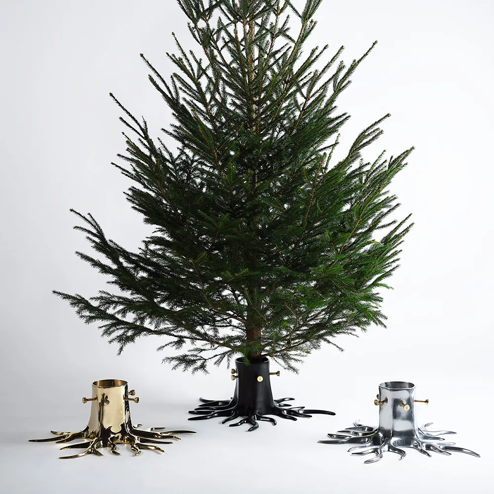 Joulukuusenjalka Gold