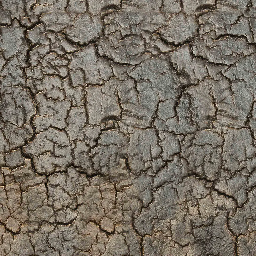 Pentagon Sohvapöytä 