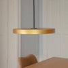 Asteria  Plus kattovalaisin Ø43 cm Brass/Musta