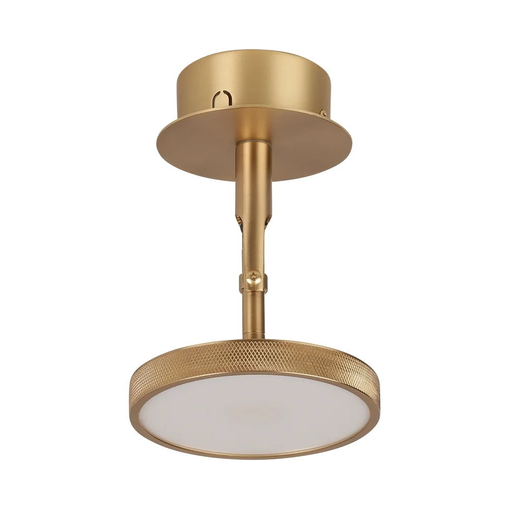 Asteria Spot Plated Brass