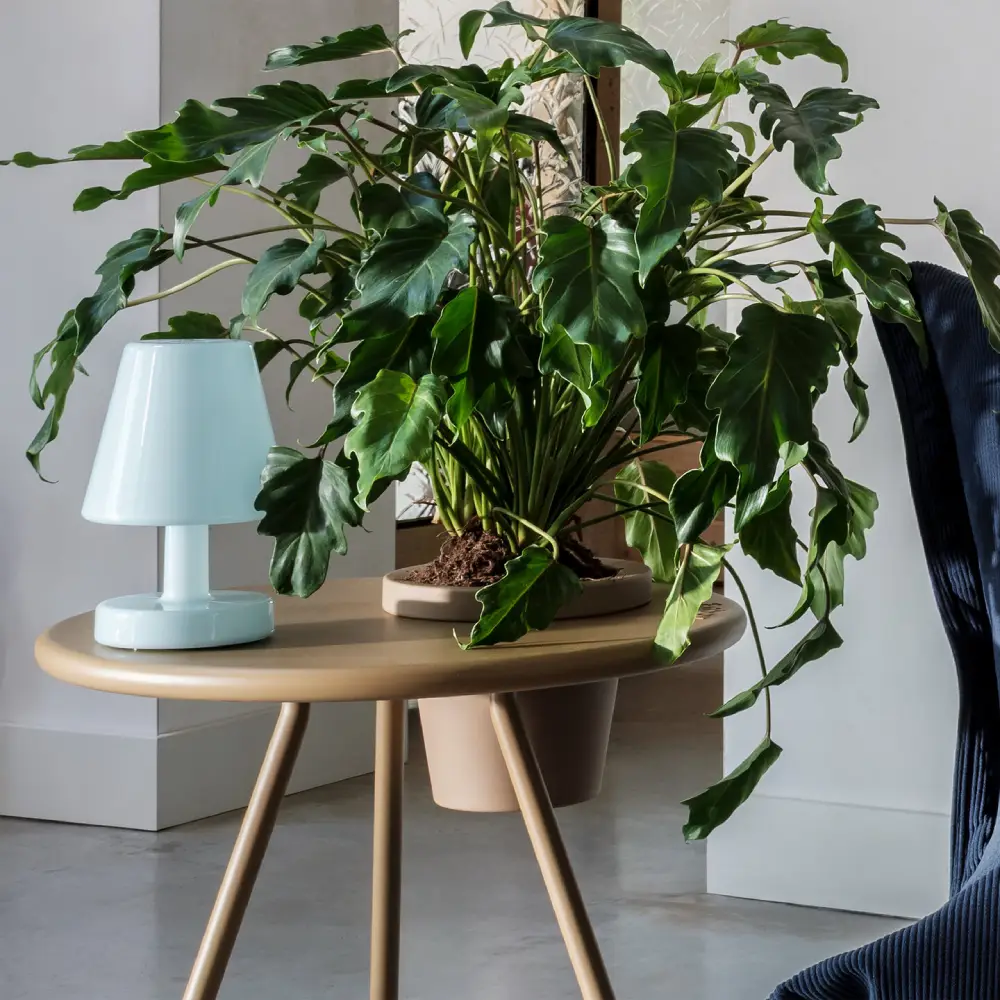 Edison the Ambiance - Pöytävalaisin polar blue