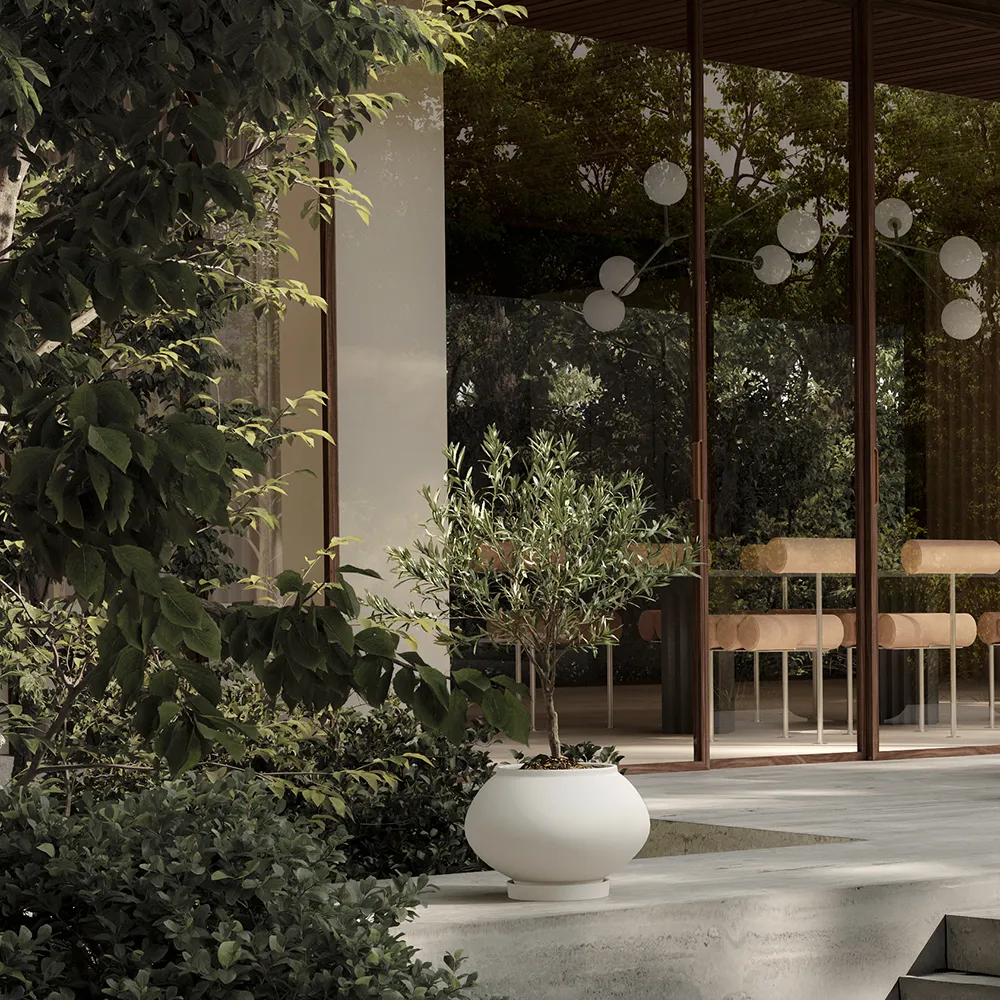 Sunao ruukku Fat Medio - Birch