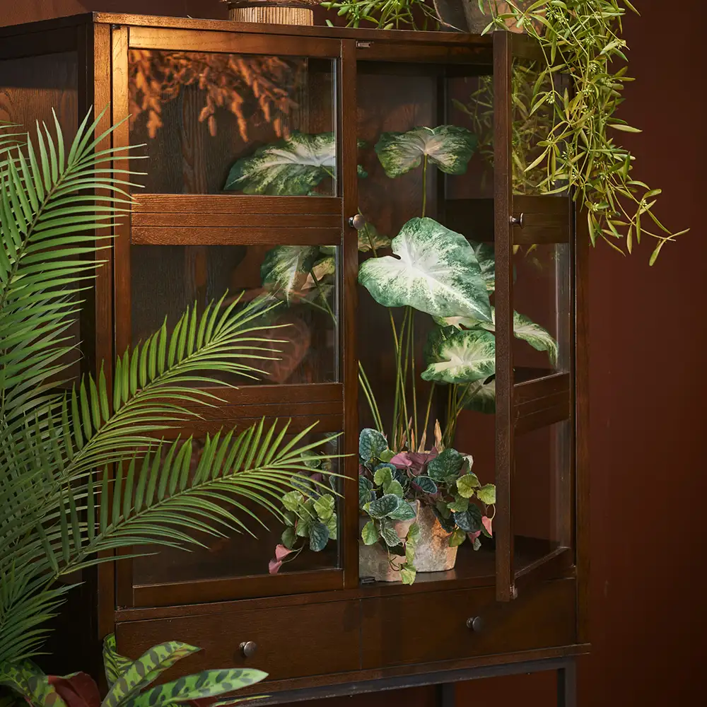 Caladium Huonekasvi 80 cm