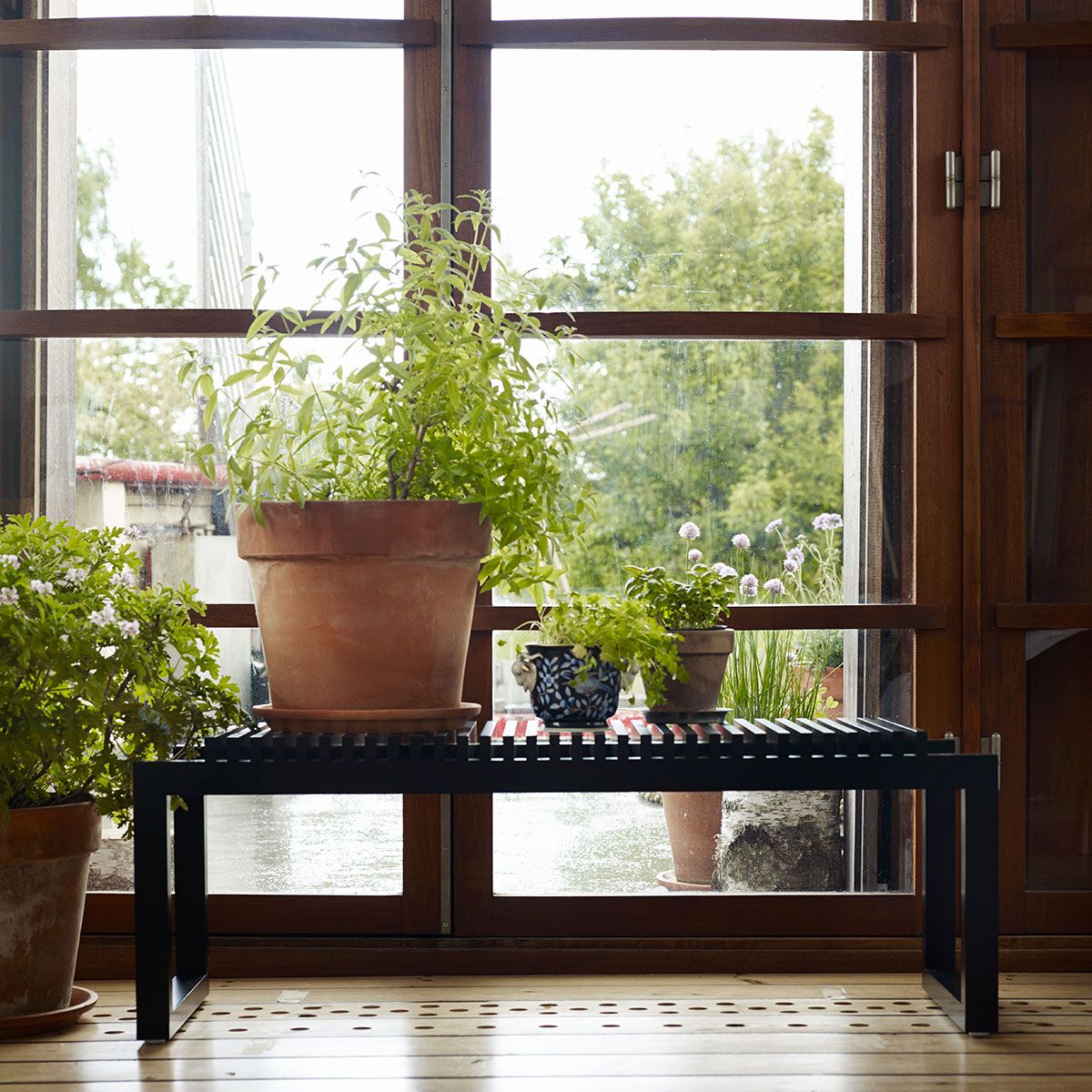 Cutter penkki 120 cm musta tammi