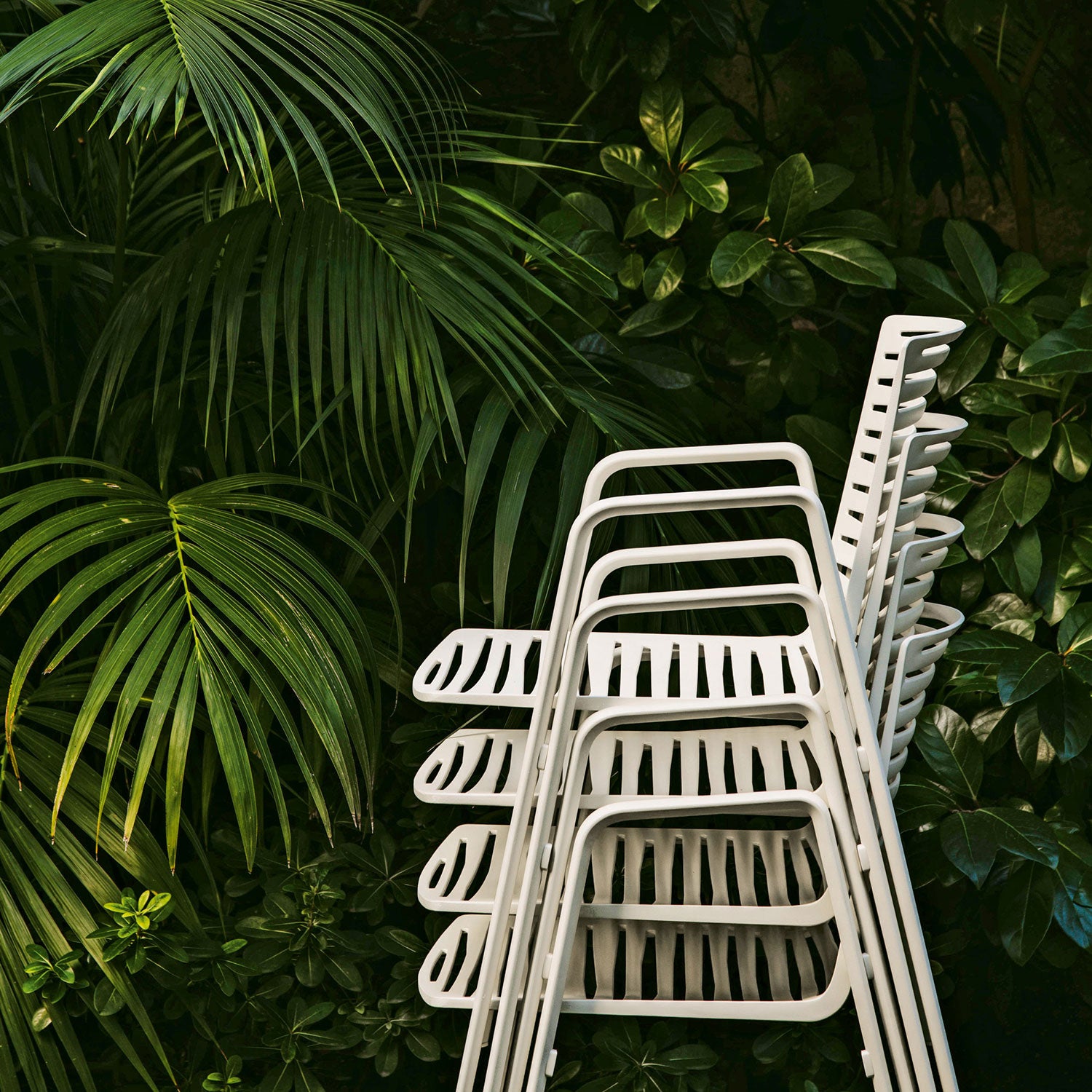 Zebra käsinojallinen tuoli Pearly Gold