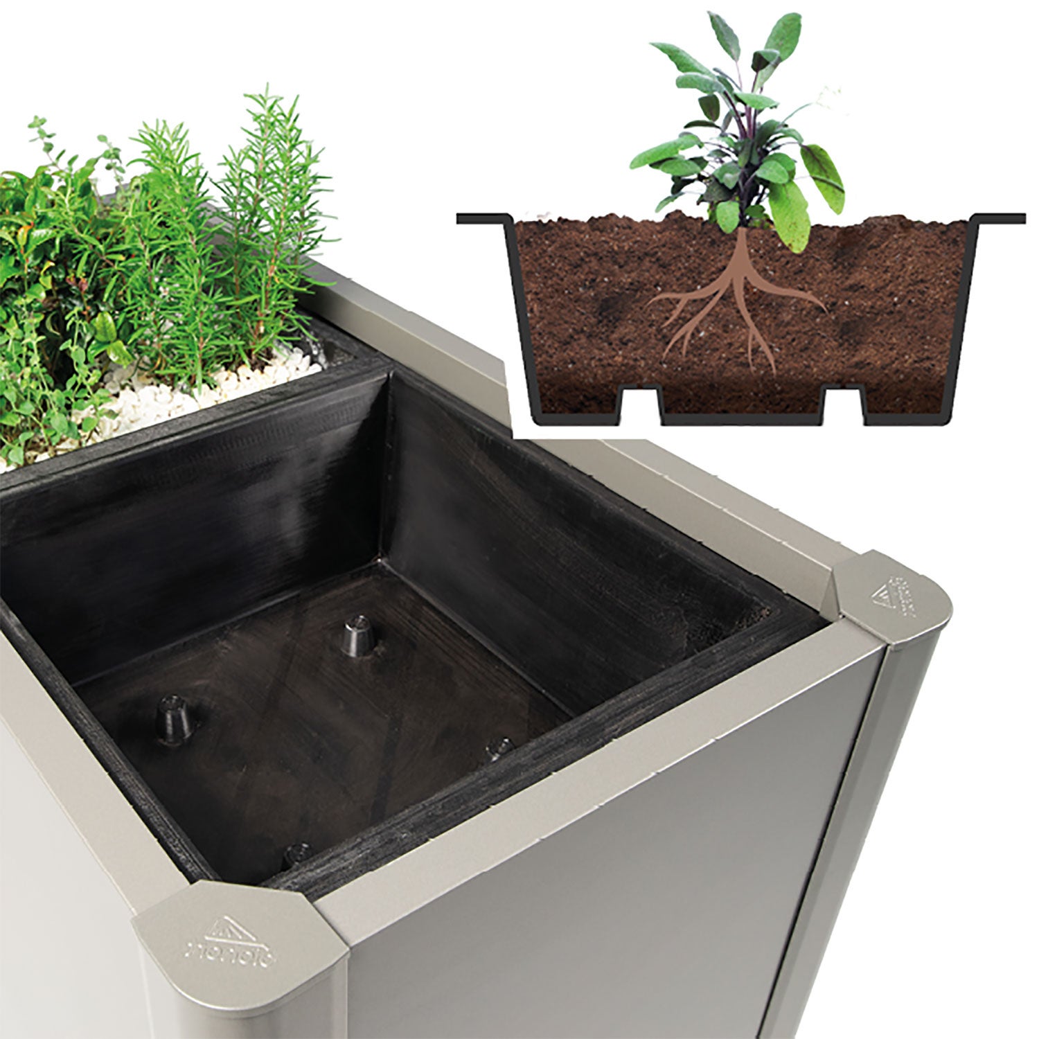 Belvedere odlingsinsats istutusallas 2