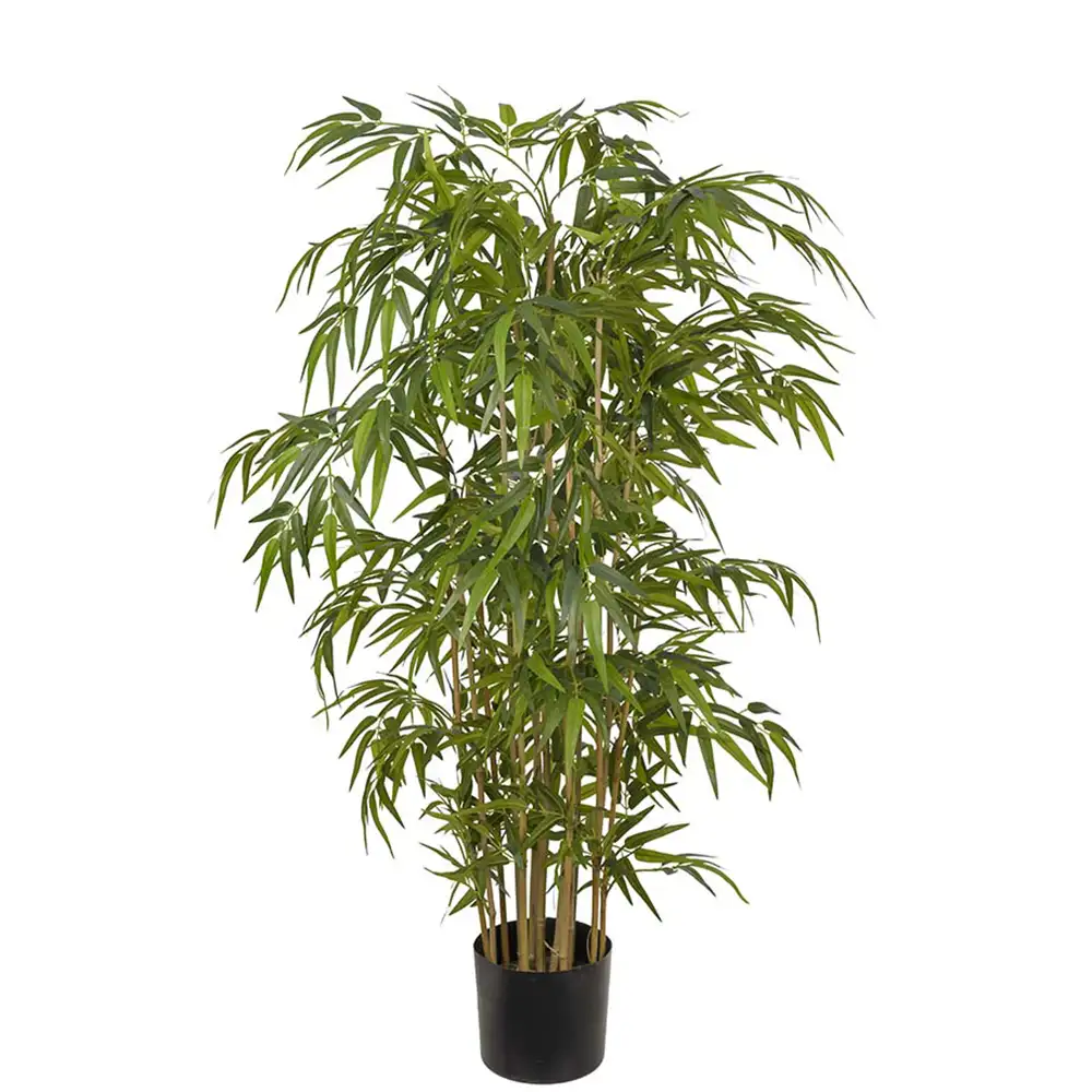 Mr Plant Bambu 150 cm