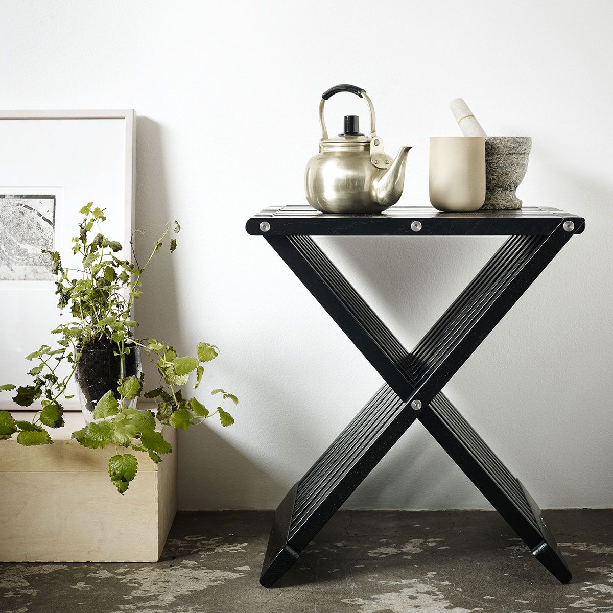 Fionia jakkara tiikki