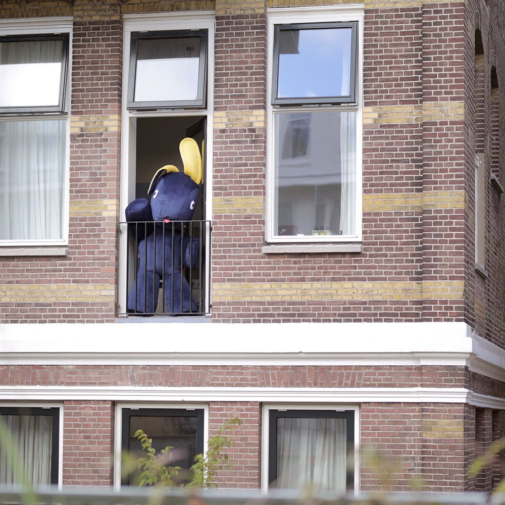 Co9 xs velvet recycled petrol