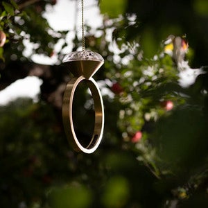 Diamond lintujen ruokkija 