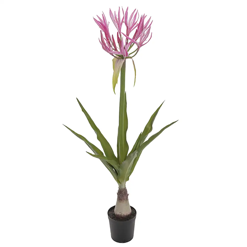 Mr Plant Nerine Huonekasvi 125 cm Pinkki